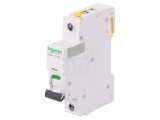 &Icirc;ntrerupător de Supracurent 10A 230V 1P B