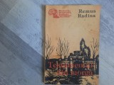 Testamentul din Morga - Remus Radina, Editura Tinerama, Carte Istorie - 96 pagini