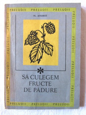 SA CULEGEM FRUCTE DE PADURE, M. Andrei, 1969 foto