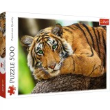 Puzzle Trefl 500 Portretul Tigrului, TREFL 500P