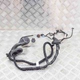 Cablaj Usa Stanga Spate Tesla Model 3 2019 OEM 2067965-00-A