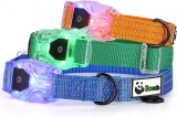 Zgarda pentru caine Bamda, LED, nailon, verde, marimea S