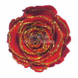 Trandafiri Criogenati XL GLITTER GOLD RED-02 (&Oslash;6-6,5cm, set 6buc)