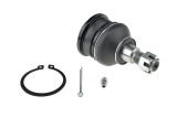 Rotula brat suspensie Toyota Avensis Verso 2001-2004 Picnic 2001-, Fata, Inferior, NTY ZSD-TY-029