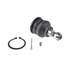 Rotula brat suspensie Toyota Avensis Verso 2001-2004 Picnic 2001-, Fata, Inferior, NTY ZSD-TY-029