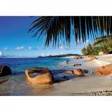 Puzzle Palmier La Plaja, 1000 Piese, Ravensburger