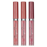 Set 3 Rujuri Lichide Mate Ranee Matte Liquid Lipstick, D