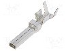 Conector alimentare DC, 0,6kV, {{Numarul de pini}} pini, seria {{Seria producatorului}}, {{Dimensiune pin}}. JST - SVM-81T-P2.0