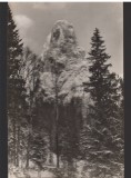 CPIB 22617 - CARTE POSTAL - BICAZ. PIATRA ALTARULUI, RPR