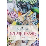Madarak &iacute;t&eacute;lősz&eacute;ke - Agnes Ravatn