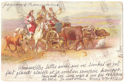 486 - Queen ELISABETH, FARA Stema Regala, Litho - old postcard - used - 1900 foto
