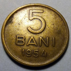 Monedă 5 bani 1954 (#1)