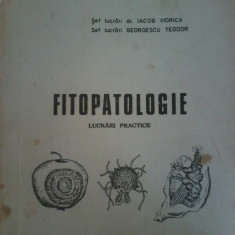 Iacob Viorica, Georgescu Teodor - Fitopatologie. Lucrari practice