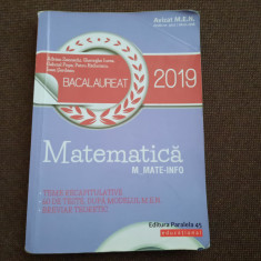 Bacalaureat 2019 Matematica mate-info- A.Zanoschi, Gh.Iurea RF11/0