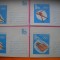 HOPCT PLIC LOT NR 38 - 5 PLICURI OLIMPIADA DE IARNA LAKE PLACED 1980 SUA- SPORT --ROMANIA