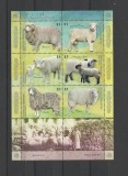 ARGENTINA 2009 ANIMALE DOMESTICE OI
