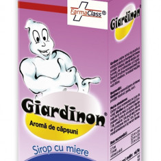 Giardinon Sirop Farma Class 100ml