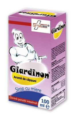 Giardinon Sirop Farma Class 100ml foto