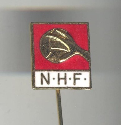 Insigna sport Handbal foto