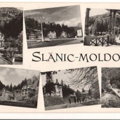 CPIB 17466 CARTE POSTALA - SLANIC MOLDOVA, MOZAIC, RPR