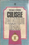 Culisele Palatului Regal 1930-1940 Neagu Cosma Editura Globus An 1990 341 Pagini