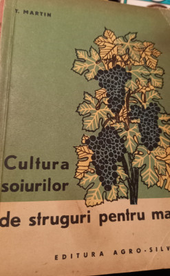 CULTURA SOIURILOR DE STRUGURI PENTRU MASA foto