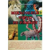 MIRACOLELE VIETII PE PAMANT-IONELA PANAINTE-241275