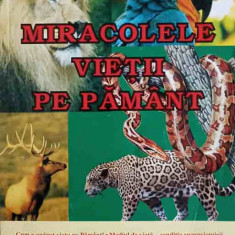 MIRACOLELE VIETII PE PAMANT-IONELA PANAINTE