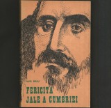 Cumpara ieftin Fericita Jale a Cumbriei - Pavel Bellu - Roman Istoric - Beletristica
