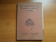 Sachgema?er Gebrauch, Des pferdes, feine behandlung und feine pflege &amp;amp;#8211; Otto Schumacher,Otto Gie? foto