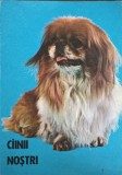 CAINII NOSTRI. BULETIN DOCUMENTAR AUGUST-DECEMBRIE-1984-ZOE DUMITRESCU-BUSULENGA SI COLAB.-243433
