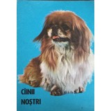 CAINII NOSTRI. BULETIN DOCUMENTAR AUGUST-DECEMBRIE-1984-ZOE DUMITRESCU-BUSULENGA SI COLAB.-243433