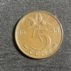 Moneda 5 cenți 1955 Olanda