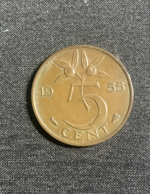 Moneda 5 cenți 1955 Olanda foto