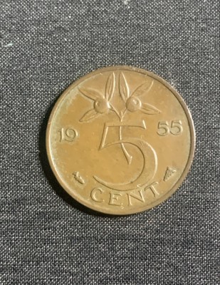 Moneda 5 cenți 1955 Olanda foto