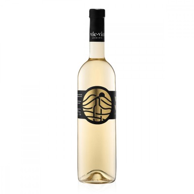 SAUVIGNON BLANC &amp;ndash; SEC foto