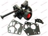 Carburator Briggs &amp; Stratton 498809 497619 Cal II Roco, Motoare Seria 096902