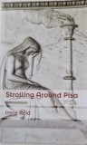Irene Reid - Strolling Around Pisa _ carte in limba engleza calatorii _ Amazon, UK