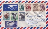 FILATELIE TEMATICA - PLIC AFRICA DE SUD TEMATICA FAUNA AIRMAIL, Stampilat