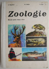 Zoologie. Manual pentru clasa a VI-a ? C. Bogoescu foto