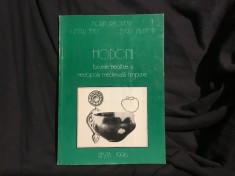 Carte Hodoni - locuirile neolitice si necropola medievala timpurie de F. Drasovean , D. Teicu , M. Muntean / Resita anul 1996 - 148 pagini !