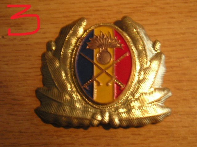 QW14 - Emblema militara / cuc - uscat - anii 1990 - piesa de colectie