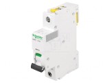 &Icirc;ntrerupător de Supracurent 6A 1P 230V C