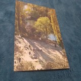 CARTE POSTALA - BUCURESTI-GRADINA CISMIGIU CIRCULATA