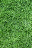 Cumpara ieftin Covor Gazon Iarba Artificiala Sri Lanka 40 mm Latime 2 m - 200x700, Verde