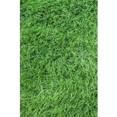 Covor Gazon Iarba Artificiala Sri Lanka 40 mm Latime 2 m - 200x600, Verde