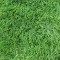 Covor Gazon Iarba Artificiala Sri Lanka 40 mm Latime 3 m - 300x400, Verde