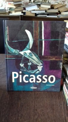 PICASSO - JEAN LOUIS FERRIER foto