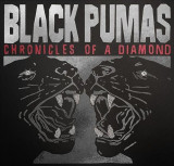 Chronicles Of A Diamond (Deluxe) | Black Pumas