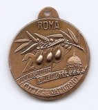 Medalie - Vatican - Papa Ioan Paul al II- lea Anul Sf&acirc;nt 2000, 26 mm, 11.06 gr, (REPLICA)